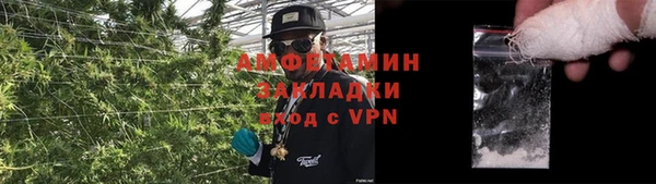 прущие грибы Арсеньев