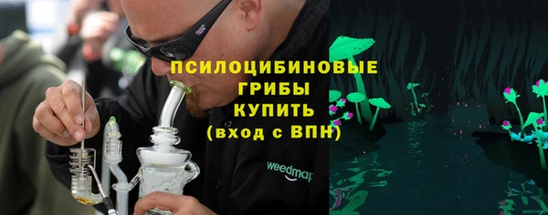 прущие грибы Арсеньев