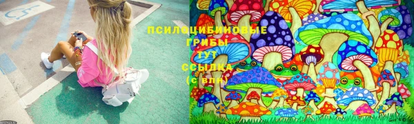 марки lsd Аркадак