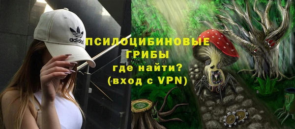 прущие грибы Арсеньев
