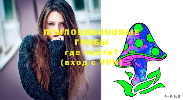 марки lsd Аркадак