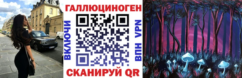 Псилоцибиновые грибы GOLDEN TEACHER  Сретенск 